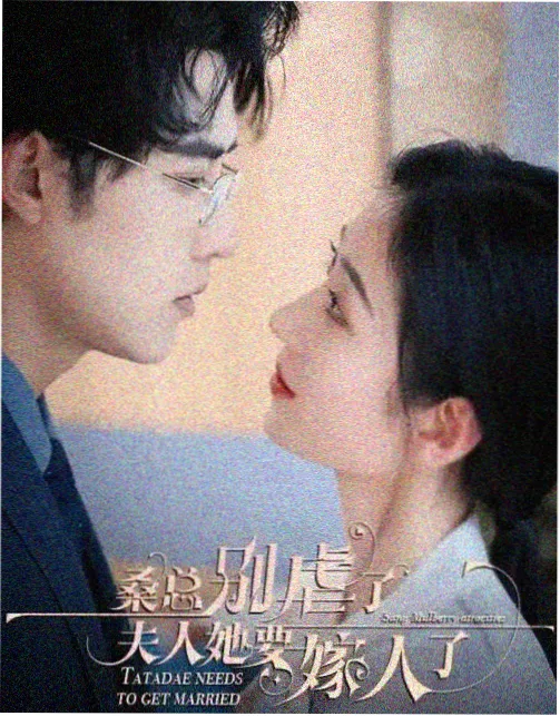 导演风格研究资讯配图